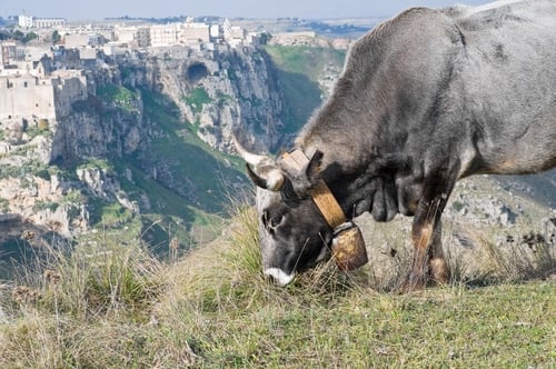 Basilicata