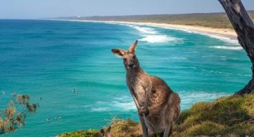 Les meilleurs itinéraires à travers le Queensland en Australie